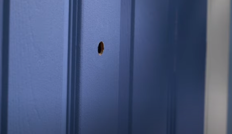 Drill a hole in the door for ring peephole camera
