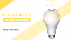 Feit Electric Bulb LED Problems
