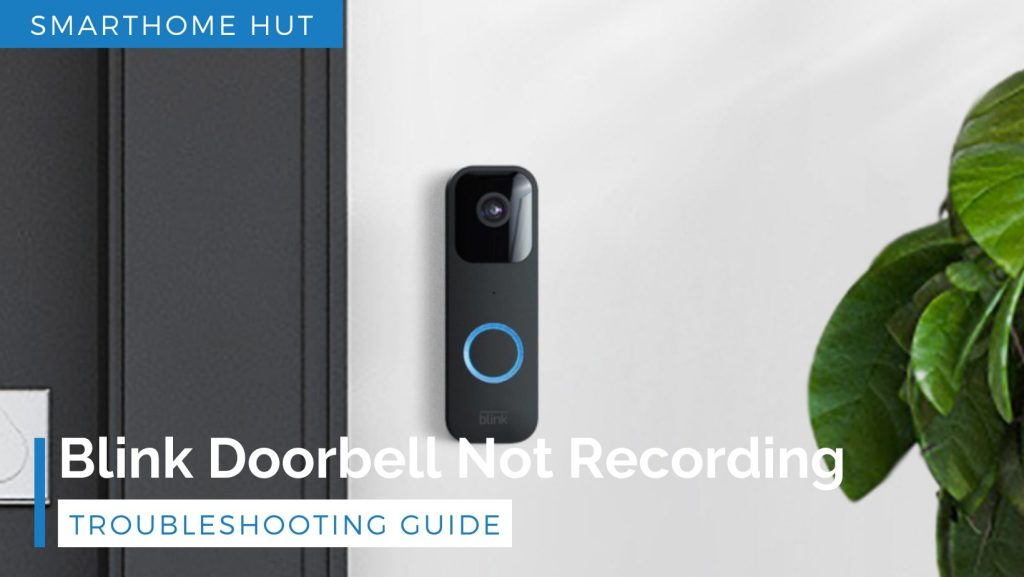 Blink Doorbell Not Recording